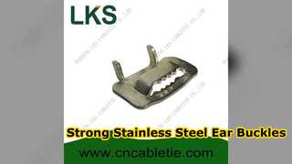 Stainless Steel Ear Lokt Buckles for Secure Fastening